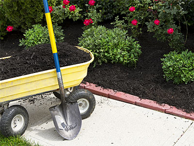 Landscape Contractor Novi, MI