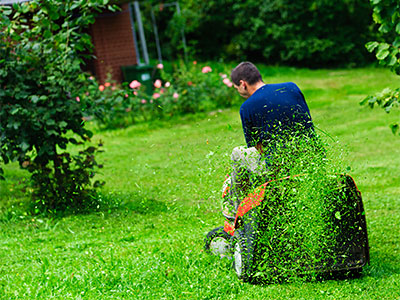 Landscape Maintenance Birmingham, MI