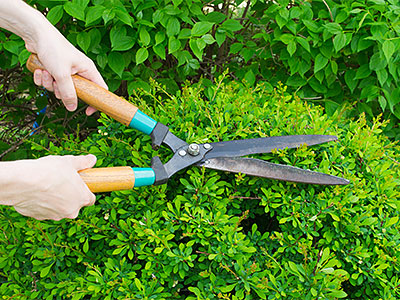 Landscape Maintenance Birmingham, MI